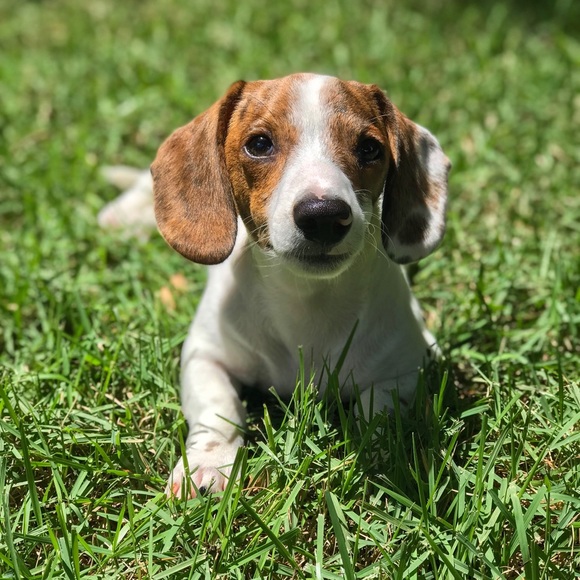 Meet your Posher, Kim - Picture 2 of 4